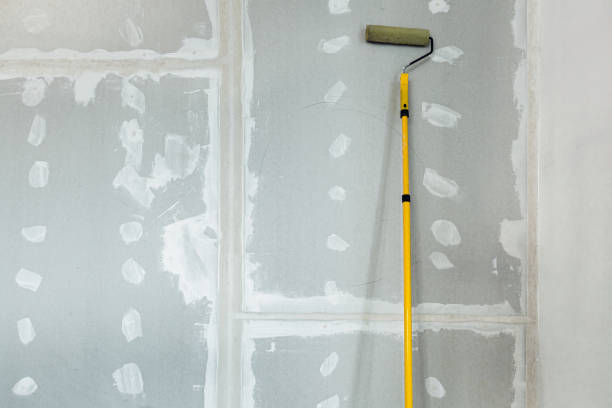 Best Water-Damaged Drywall Repair  in Spurgeon, TN